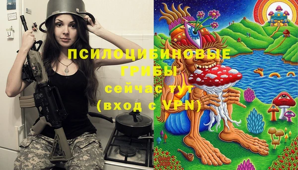 каннабис Аркадак
